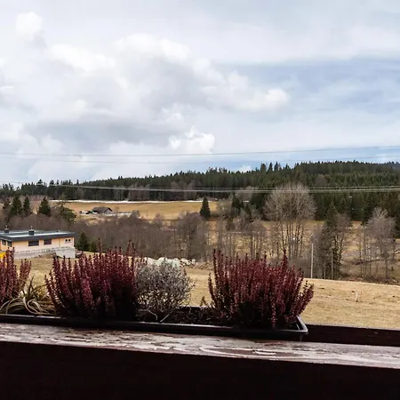 Schwarzwälder Speckhuisli Grafenhausen